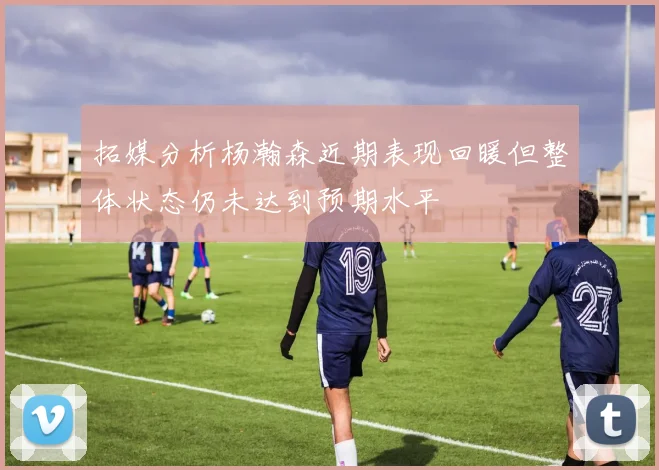 拓媒分析杨瀚森近期表现回暖但整体状态仍未达到预期水平