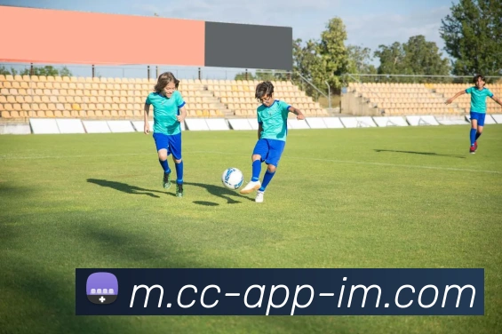 App 展示图