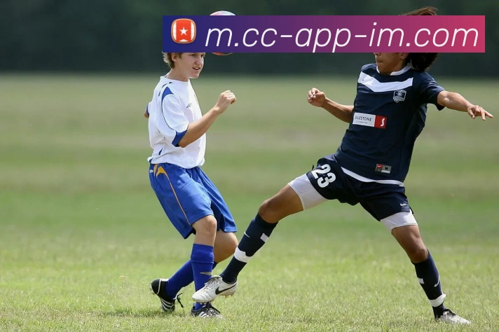 App界面